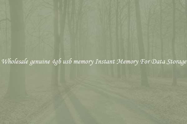 Wholesale genuine 4gb usb memory Instant Memory For Data Storage