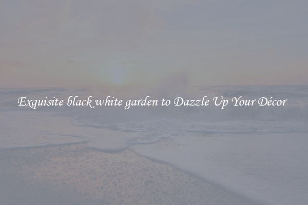 Exquisite black white garden to Dazzle Up Your Décor  