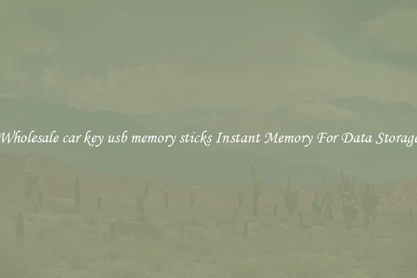 Wholesale car key usb memory sticks Instant Memory For Data Storage