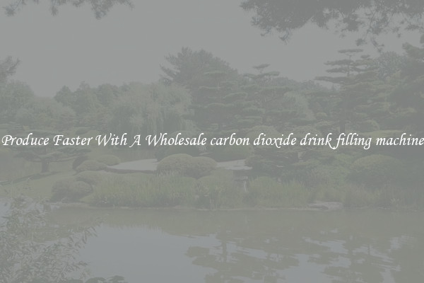 Produce Faster With A Wholesale carbon dioxide drink filling machine