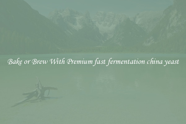 Bake or Brew With Premium fast fermentation china yeast