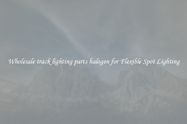 Wholesale track lighting parts halogen for Flexible Spot Lighting
