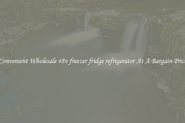 Convenient Wholesale 48v freezer fridge refrigerator At A Bargain Price
