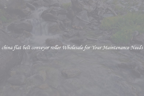 china flat belt conveyor roller Wholesale for Your Maintenance Needs