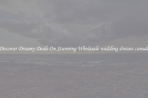 Discover Dreamy Deals On Stunning Wholesale wedding dresses canada