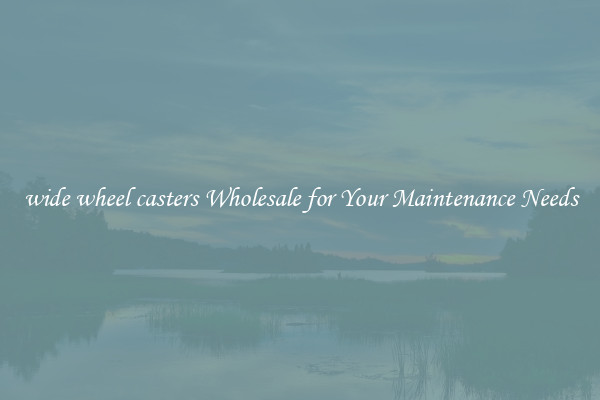 wide wheel casters Wholesale for Your Maintenance Needs