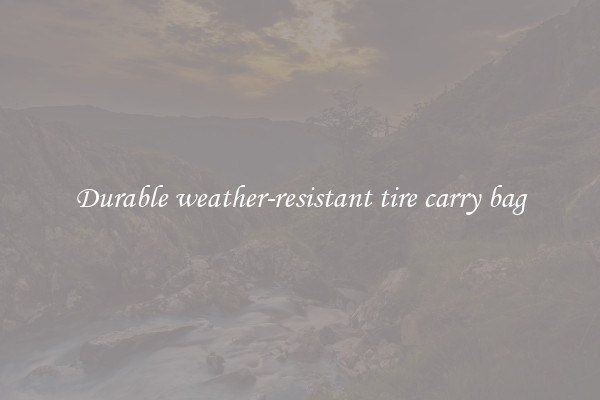 Durable weather-resistant tire carry bag