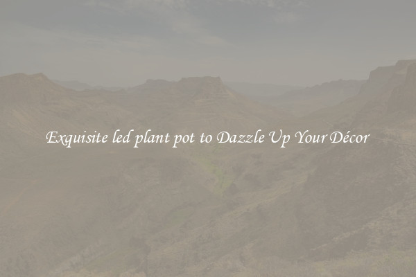 Exquisite led plant pot to Dazzle Up Your Décor 