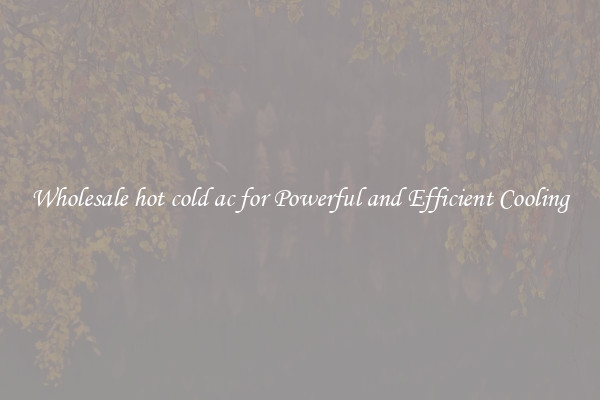 Wholesale hot cold ac for Powerful and Efficient Cooling