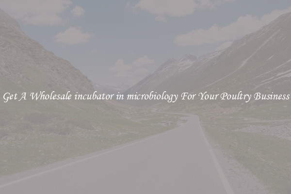 Get A Wholesale incubator in microbiology For Your Poultry Business