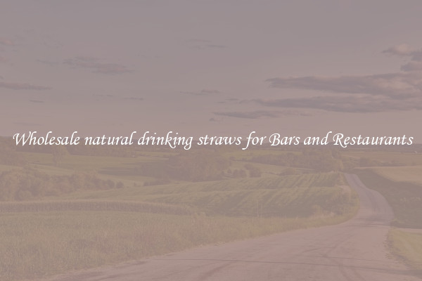 Wholesale natural drinking straws for Bars and Restaurants