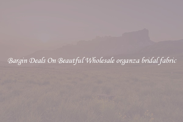Bargin Deals On Beautful Wholesale organza bridal fabric