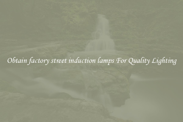 Obtain factory street induction lamps For Quality Lighting